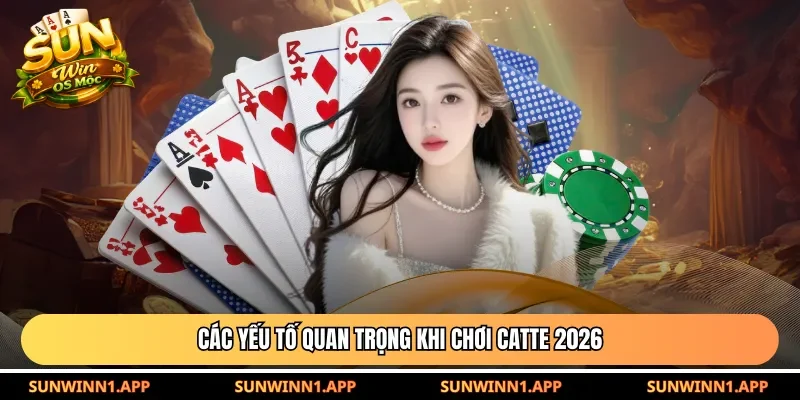 Các yếu tố quan trọng khi chơi Catte 2026