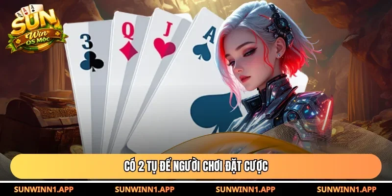 Có 2 tụ để người chơi đặt cược